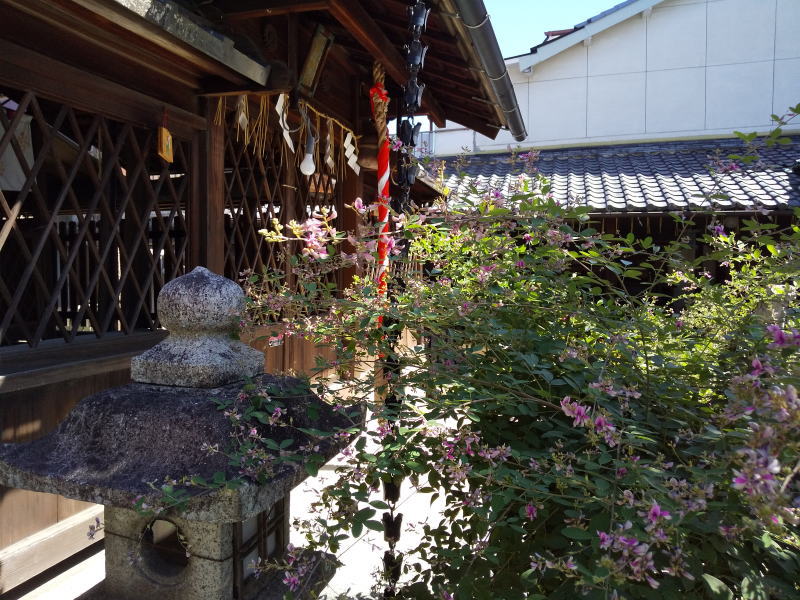 幸神社の萩 / 京都観光旅行ガイド