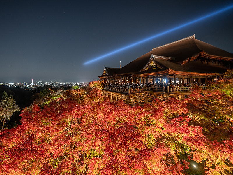 清水寺 夜間拝観・ライトアップ / 京都観光旅行ガイド