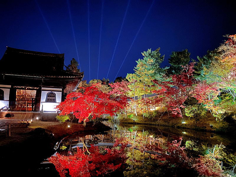 高台寺 夜間拝観・ライトアップ / 京都観光旅行ガイド