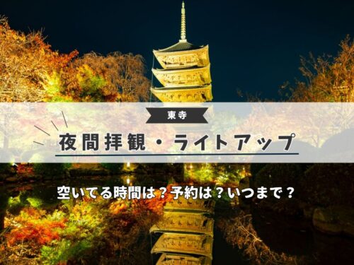 東寺 夜間拝観・ライトアップ 紅葉 / 京都観光旅行ガイド