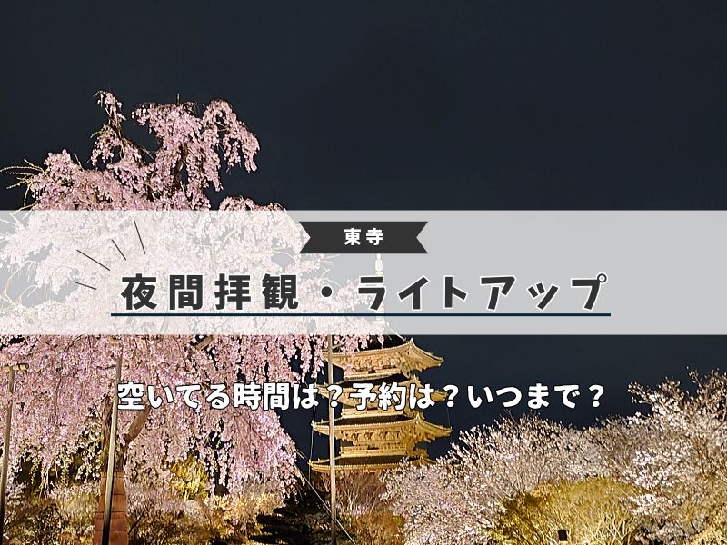 東寺 ライトアップ 桜 / 京都観光旅行ガイド