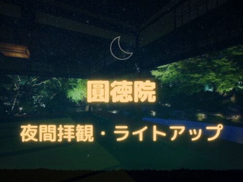 圓徳院 夜間拝観・ライトアップ / 京都観光旅行ガイド