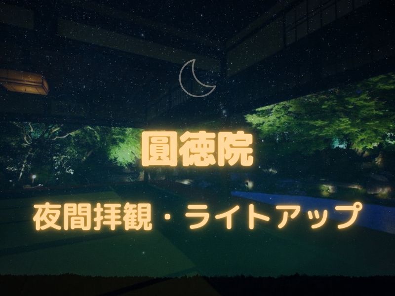 圓徳院 夜間拝観・ライトアップ / 京都観光旅行ガイド