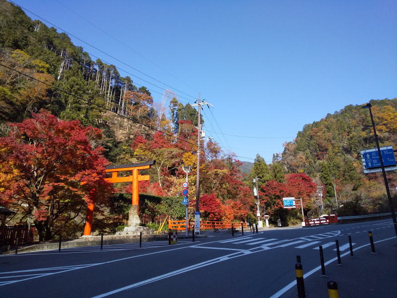 貴船口辺りの紅葉 / 京都観光旅行ガイド