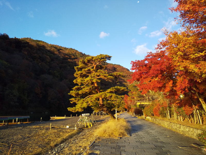 京都紅葉モデルコース 嵐山 / 京都観光旅行ガイド