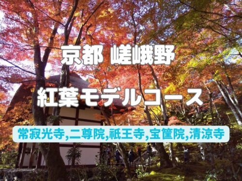 京都紅葉モデルコース 嵯峨野 / 京都観光旅行ガイド