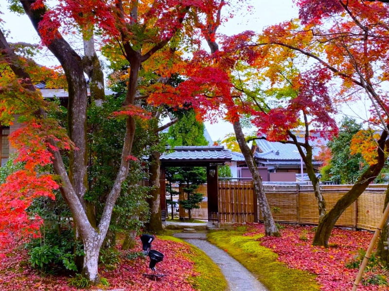 宝厳院 / 京都観光旅行ガイド