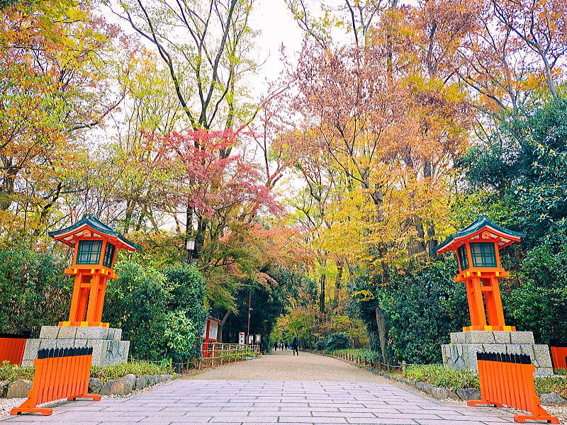 糺の森 / 京都観光旅行ガイド