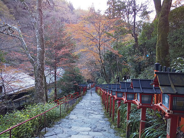 貴船神社 紅葉 2024 / 京都観光旅行ガイド