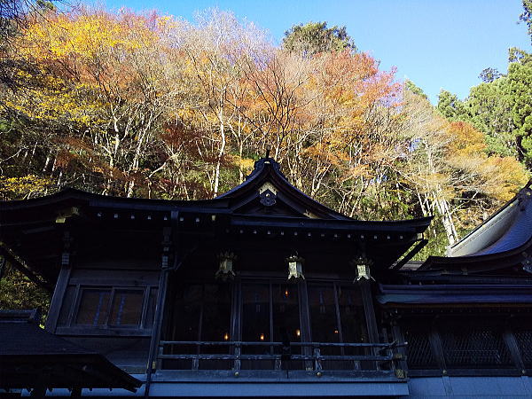 貴船神社 紅葉 2024 / 京都観光旅行ガイド