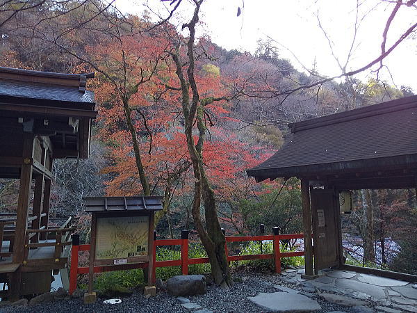 貴船神社 紅葉 2024 / 京都観光旅行ガイド