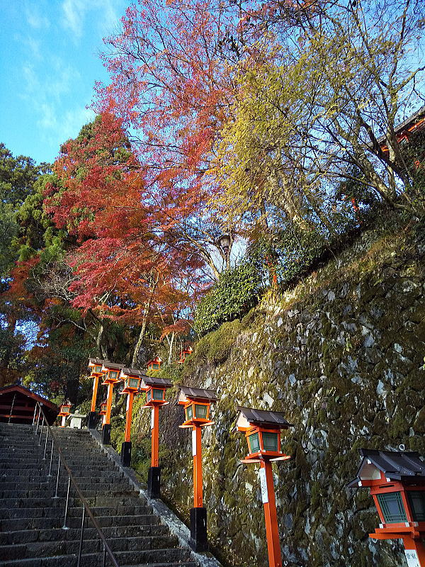 鞍馬寺 紅葉 2024 / 京都観光旅行ガイド