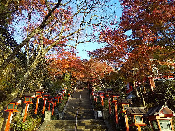 鞍馬寺 紅葉 2024 / 京都観光旅行ガイド