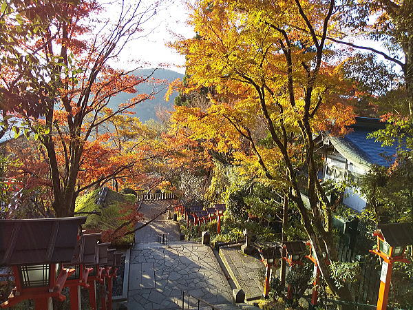 鞍馬寺 紅葉 2024 / 京都観光旅行ガイド