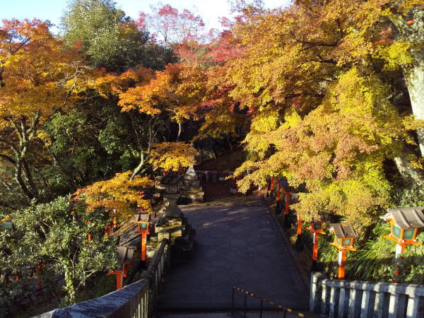 鞍馬寺 紅葉 2024 / 京都観光旅行ガイド