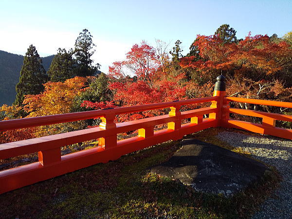 鞍馬寺 紅葉 2024 / 京都観光旅行ガイド