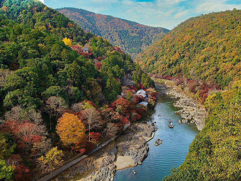 嵐山公園 亀山地区 展望台からの紅葉