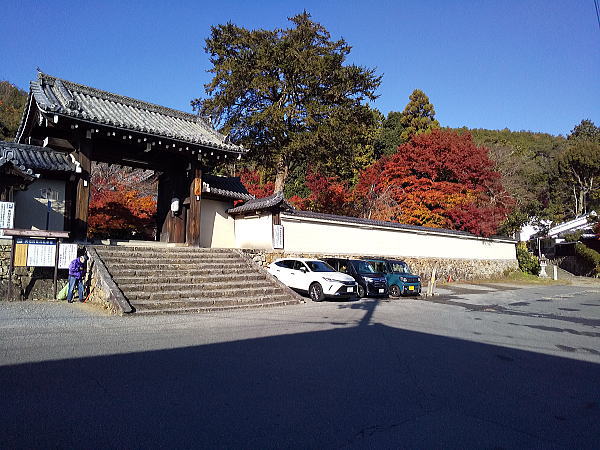 実相院 紅葉 2024 / 京都観光旅行ガイド