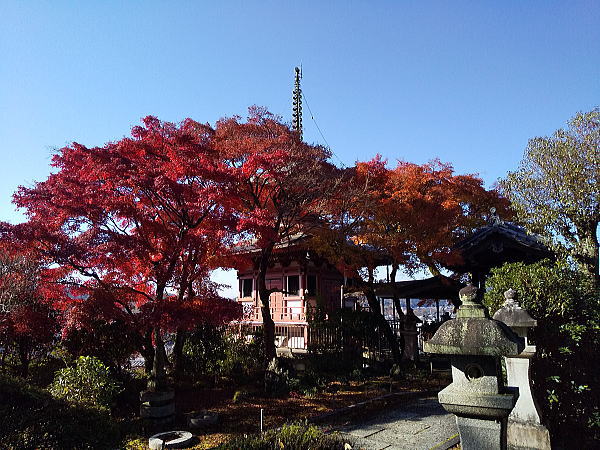 三明院 紅葉 2024 / 京都観光旅行ガイド