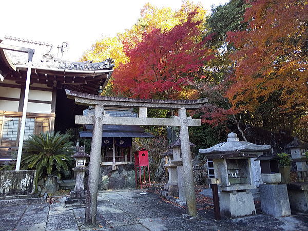 三明院 紅葉 2024 / 京都観光旅行ガイド