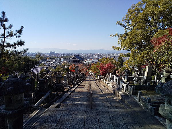 金戒光明寺 紅葉 2024 / 京都観光旅行ガイド