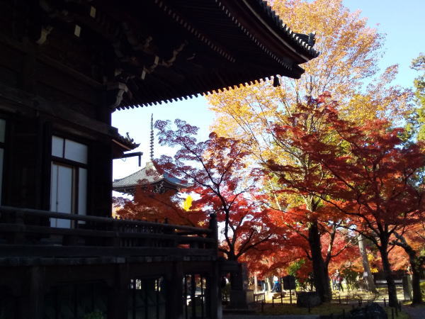 真如堂 紅葉 2024 / 京都観光旅行ガイド