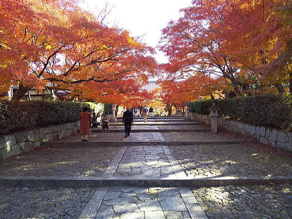 真如堂 紅葉 2024 / 京都観光旅行ガイド