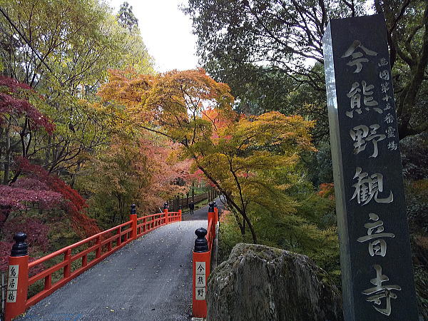 今熊野観音寺 紅葉 2024 / 京都観光旅行ガイド