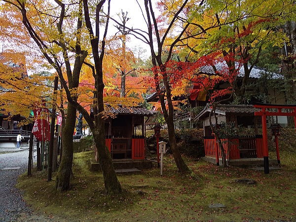 今熊野観音寺 紅葉 2024 / 京都観光旅行ガイド