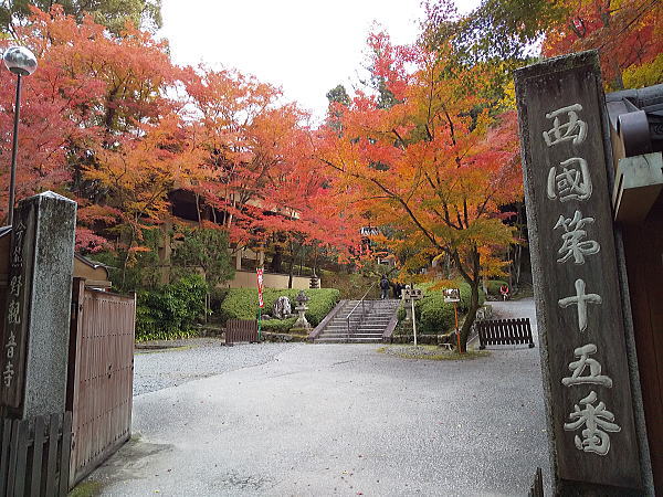 今熊野観音寺 紅葉 2024 / 京都観光旅行ガイド