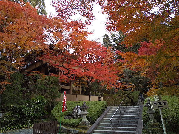 今熊野観音寺 紅葉 2024 / 京都観光旅行ガイド