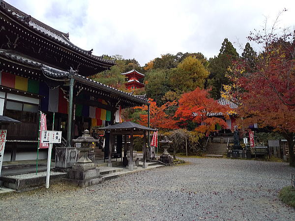 今熊野観音寺 紅葉 2024 / 京都観光旅行ガイド