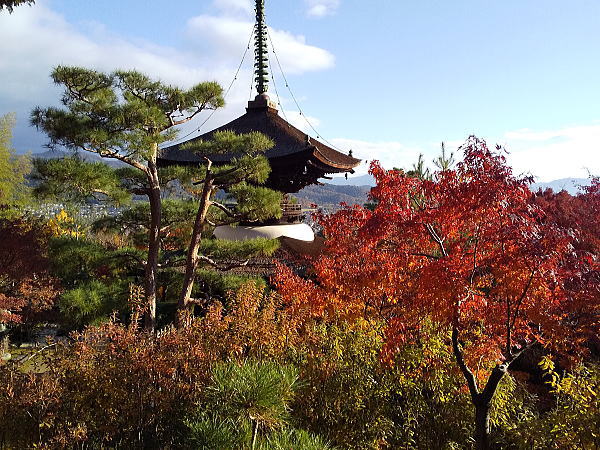 常寂光寺 多宝塔 / 京都観光旅行ガイド