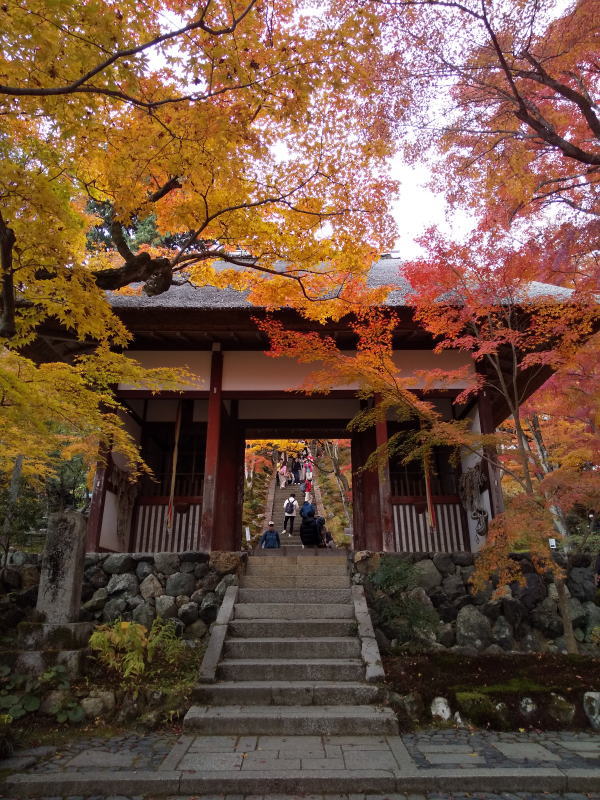 常寂光寺 紅葉 2024 / 京都観光旅行ガイド