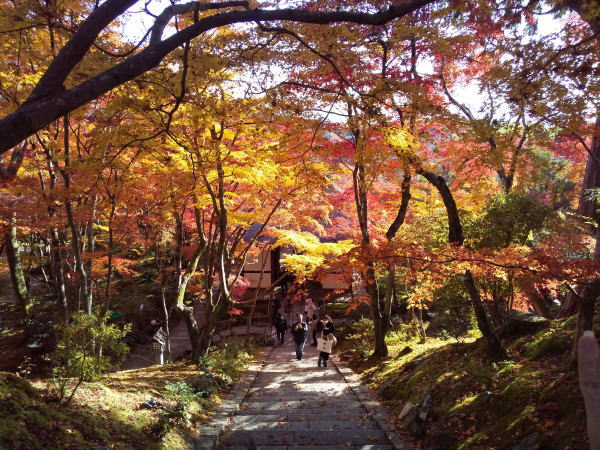 常寂光寺 紅葉 2024 / 京都観光旅行ガイド