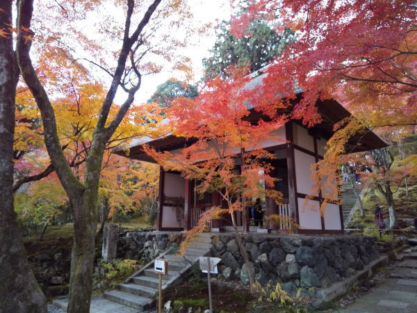 常寂光寺 紅葉 2024 / 京都観光旅行ガイド