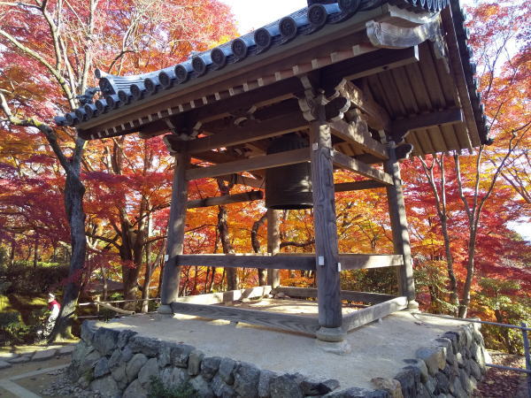 常寂光寺 紅葉 2024 / 京都観光旅行ガイド