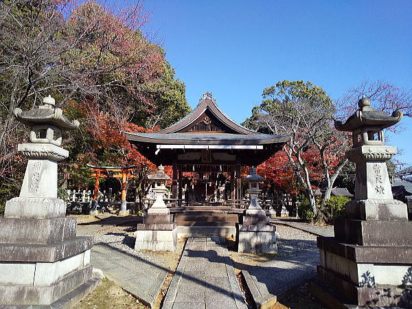 竹中稲荷神社 紅葉 2024 / 京都観光旅行ガイド