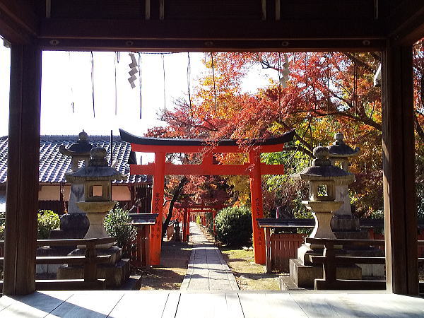 竹中稲荷神社 紅葉 2024 / 京都観光旅行ガイド