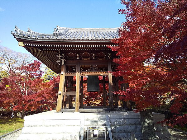 智積院 紅葉 2024 / 京都観光旅行ガイド