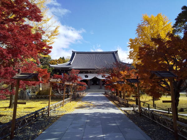 智積院 紅葉 2024 / 京都観光旅行ガイド