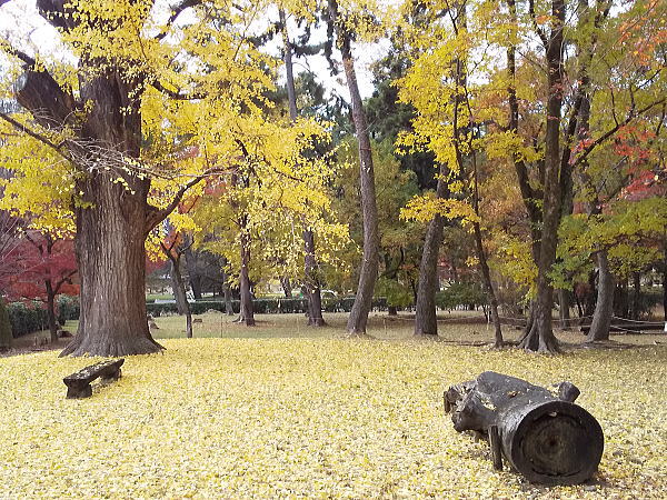 母と子の森 / 京都観光旅行ガイド