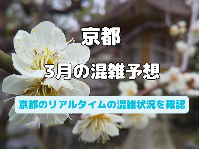 京都 混雑予想 2025年3月 / 京都観光旅行ガイド