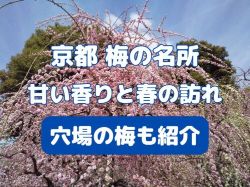 京都 梅の名所 / 京都観光旅行ガイド