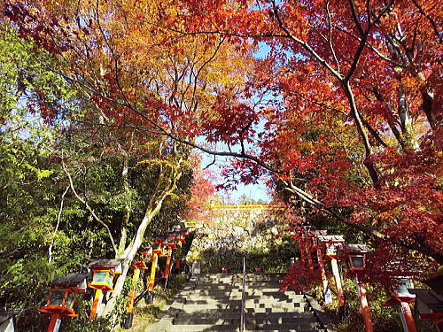 本殿金堂への最後の階段 / 京都観光旅行ガイド