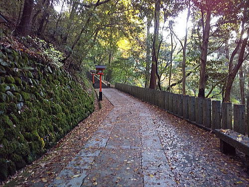 中門からの参道 / 京都観光旅行ガイド