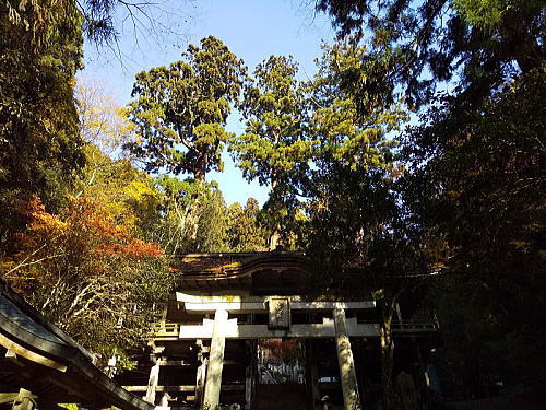 由岐神社 / 京都観光旅行ガイド