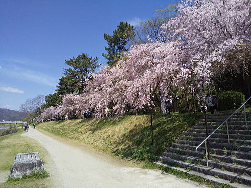 半木の道 / 京都観光旅行ガイド