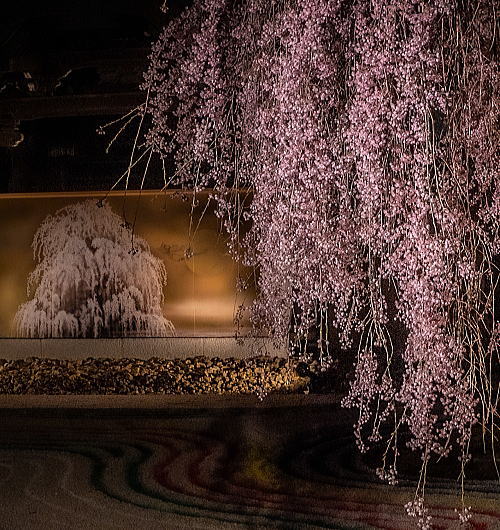 高台寺 夜間拝観・ライトアップ / 京都観光旅行ガイド