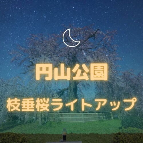 円山公園 枝垂桜ライトアップ / 京都観光旅行ガイド